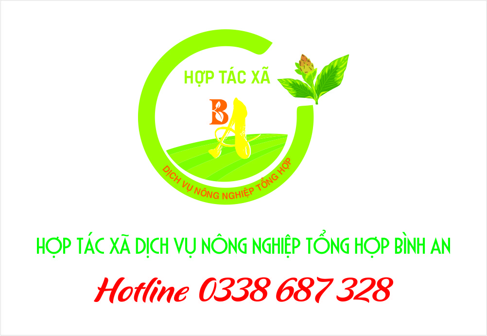 Hợp t&aacute;c x&atilde; dịch vụ n&ocirc;ng nghiệp tổng hợp B&igrave;nh An