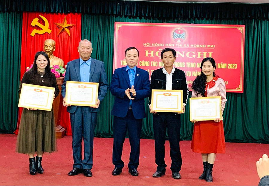 Tinh bột nghệ chất lượng tại Nghệ An